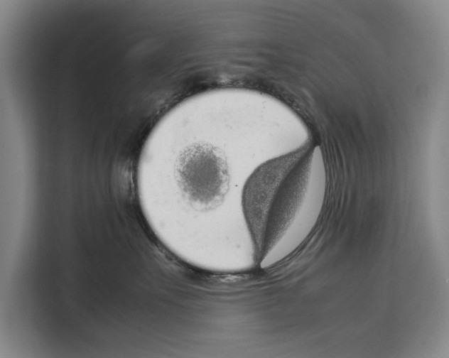 X0000108480527200905151225