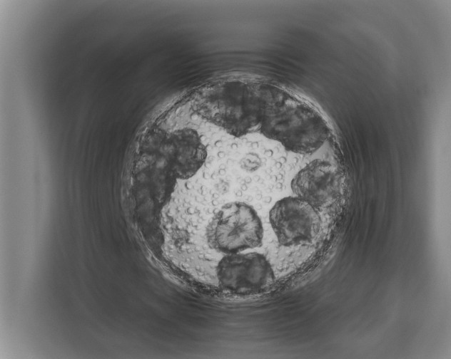 X0000108480529200905151225