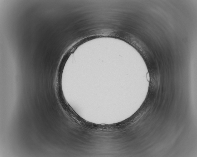 X0000108480532200905151225
