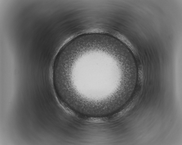 X0000108480534200905151225