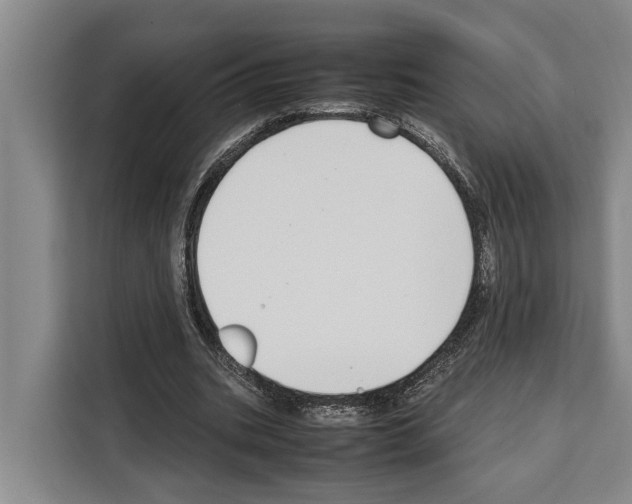 X0000108480535200905151225