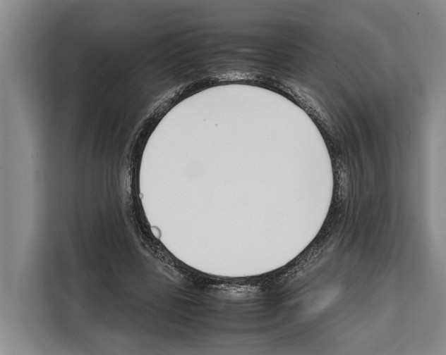 X0000108480539200905151225