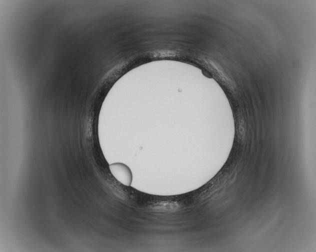 X0000108480543200905151225