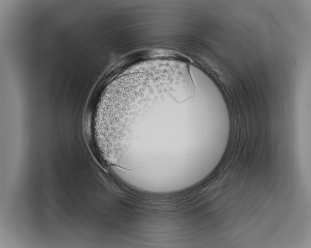 X0000108480550200905151225