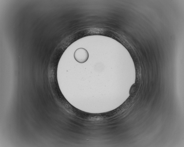 X0000108480551200905151225