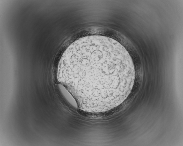 X0000108480554200905151225