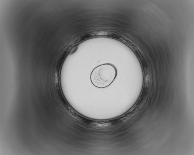 X0000108480555200905151225