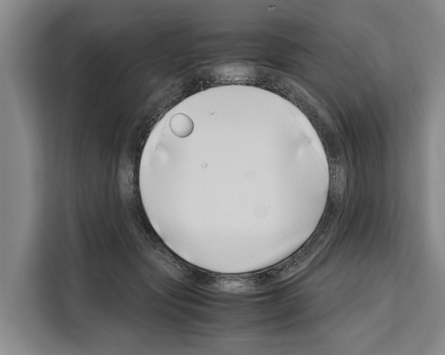 X0000108480557200905151225