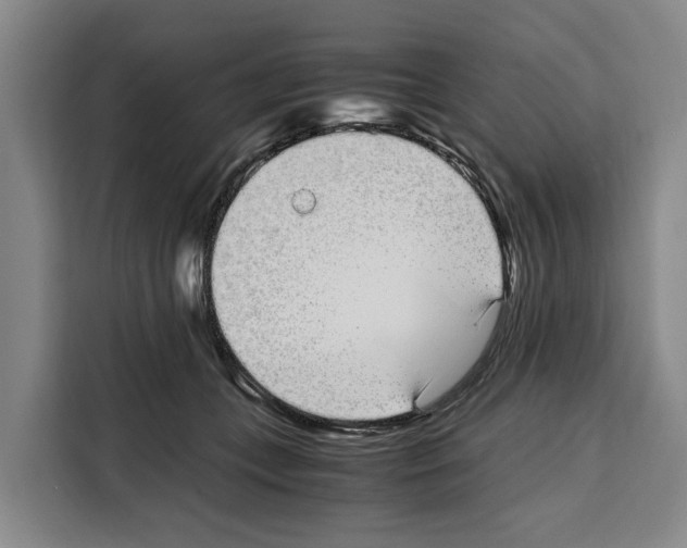 X0000108480559200905151225