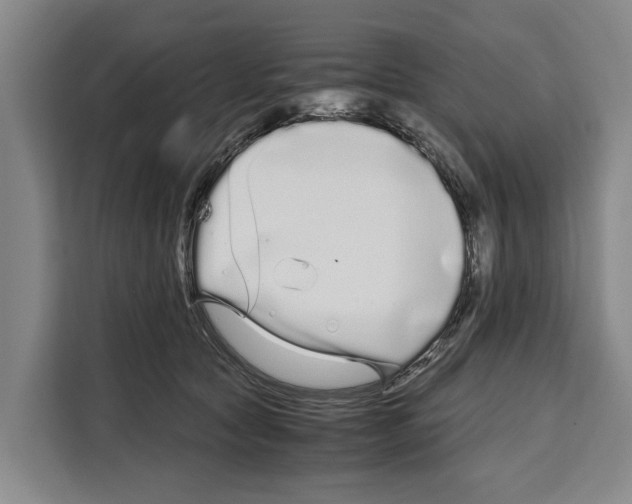 X0000108480561200905151225