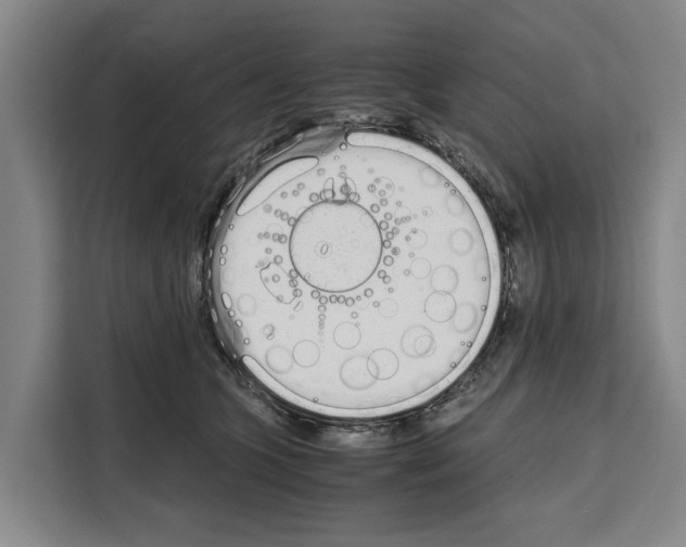 X0000108480563200905151225