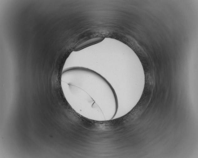 X0000108480564200905151225