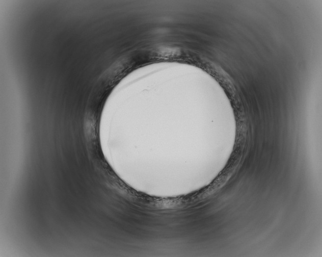 X0000108480565200905151225