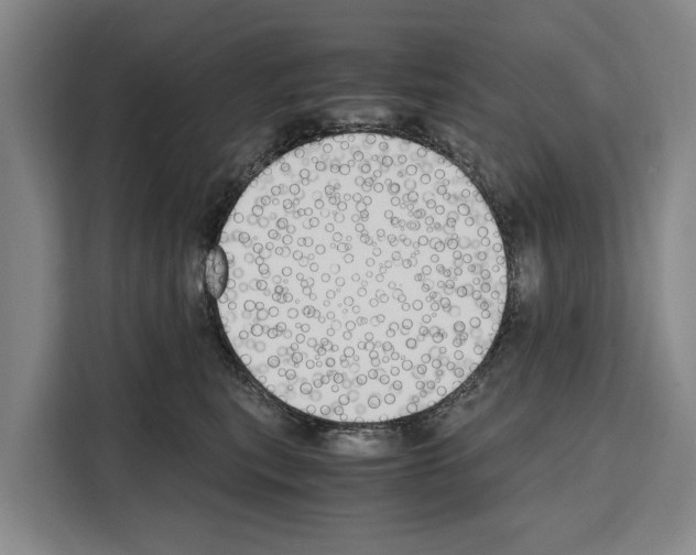 X0000108480567200905151225