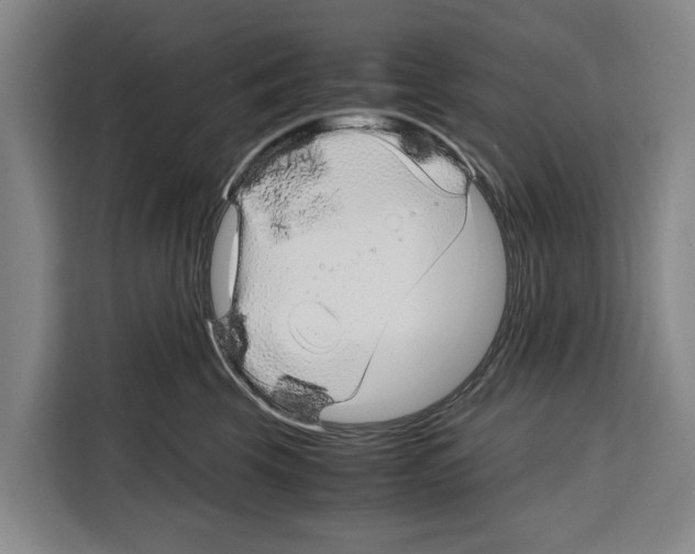 X0000108480569200905151225