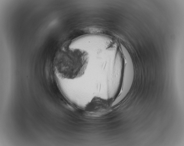 X0000108480573200905151225