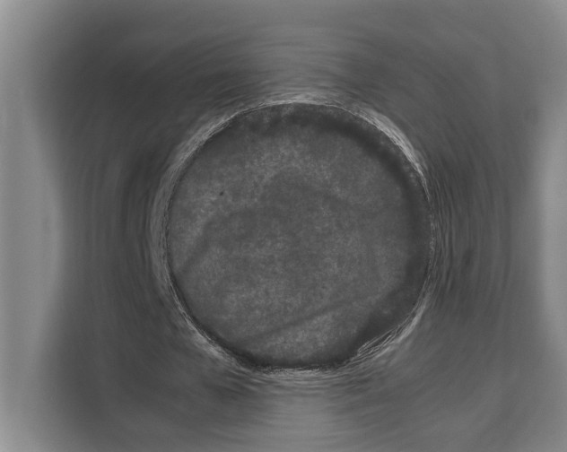 X0000108480577200905151225