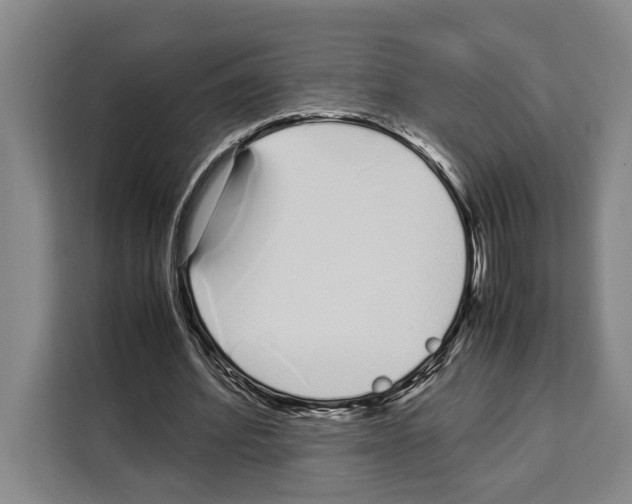 X0000108480580200905151225