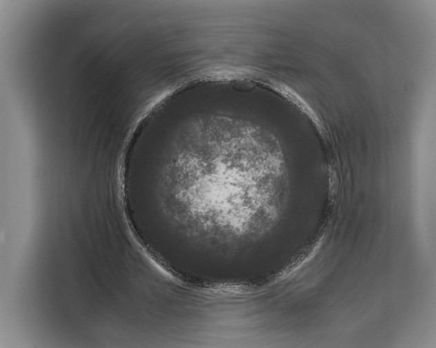 X0000108480581200905151224