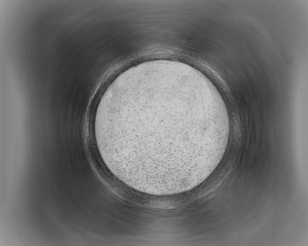 X0000108480582200905151224