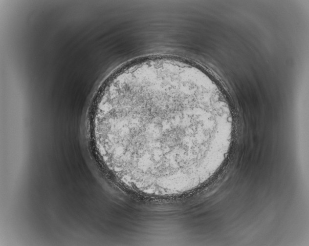 X0000108480584200905151224