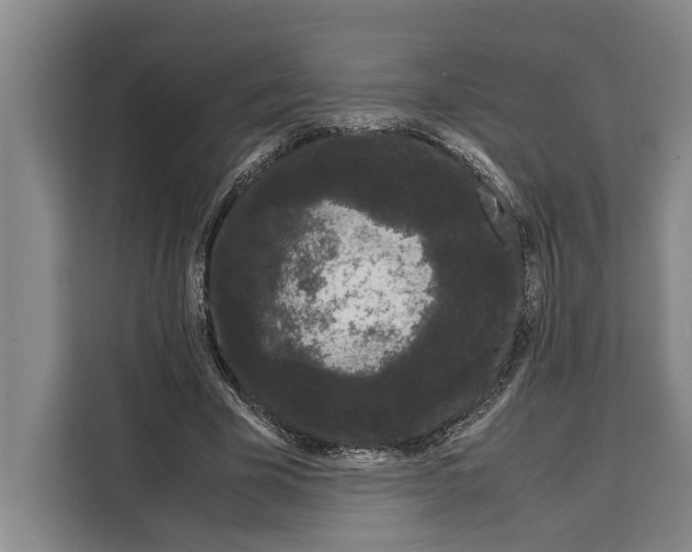 X0000108480585200905151224