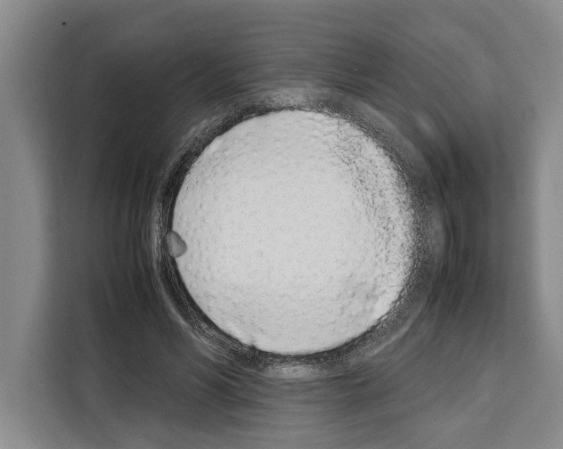 X0000108480590200905151224