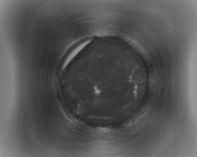X0000108480592200905151224