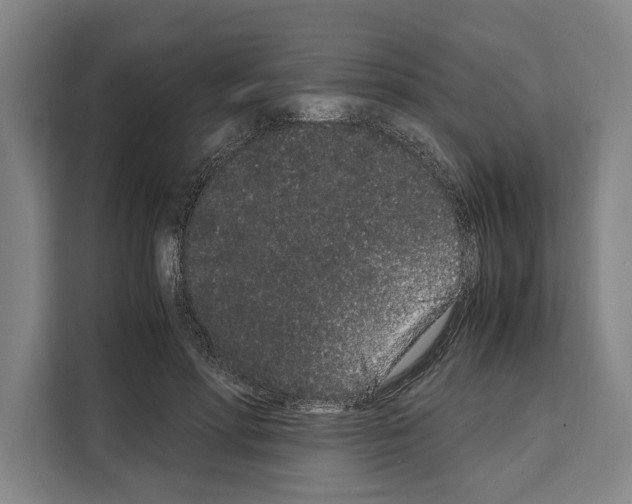X0000108480598200905151224