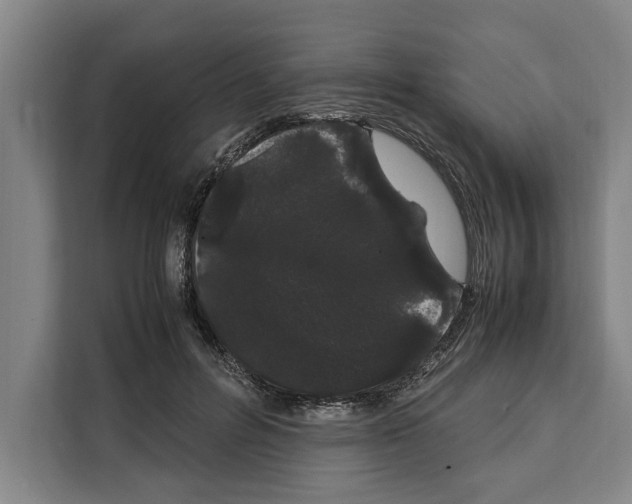 X0000108480600200905151224