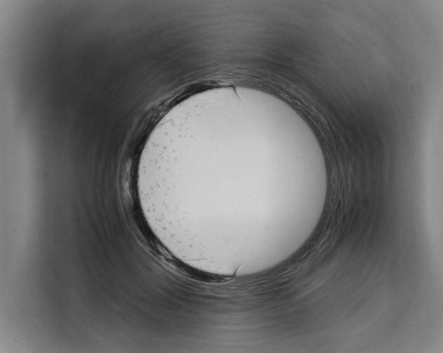 X0000108480604200905151224
