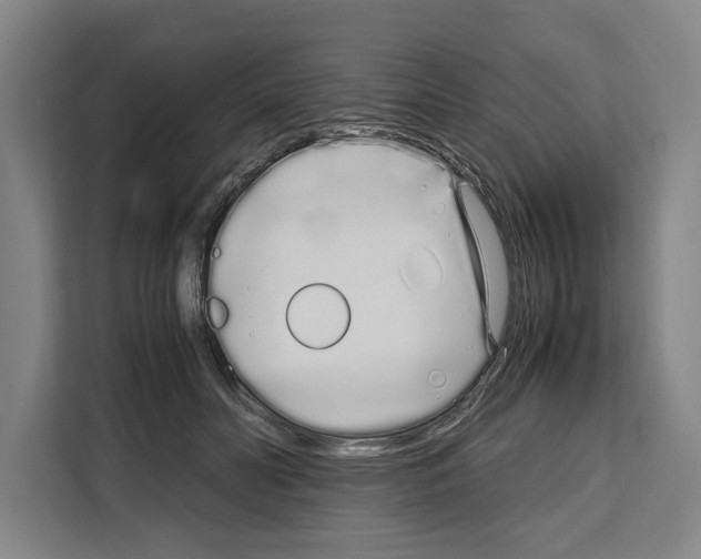 X0000108480606200905151224