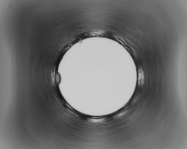 X0000108480608200905151224