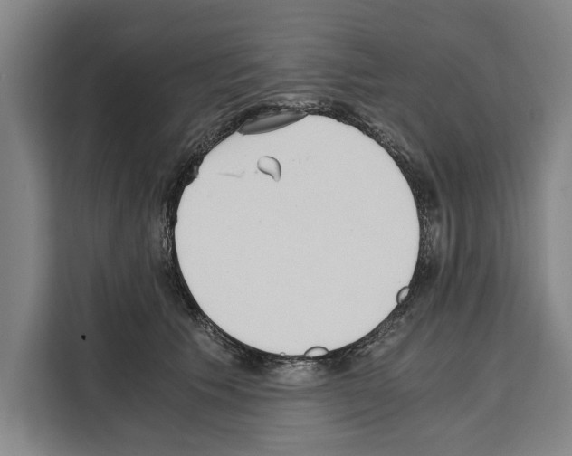 X0000108480609200905151224