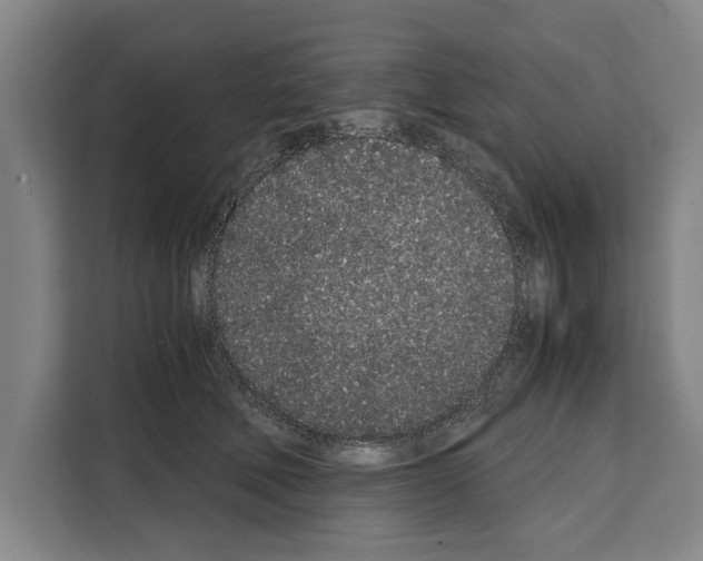 X0000108480610200905151224