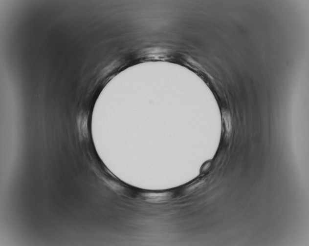 X0000108480615200905151224