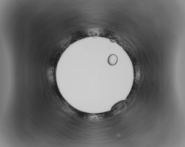X0000108480616200905151224