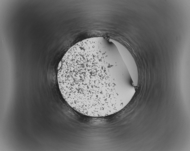 X0000108480617200905151224