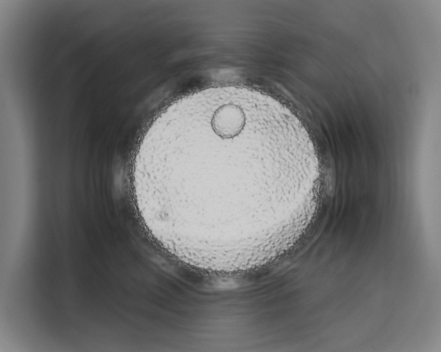 X0000108480618200905151224