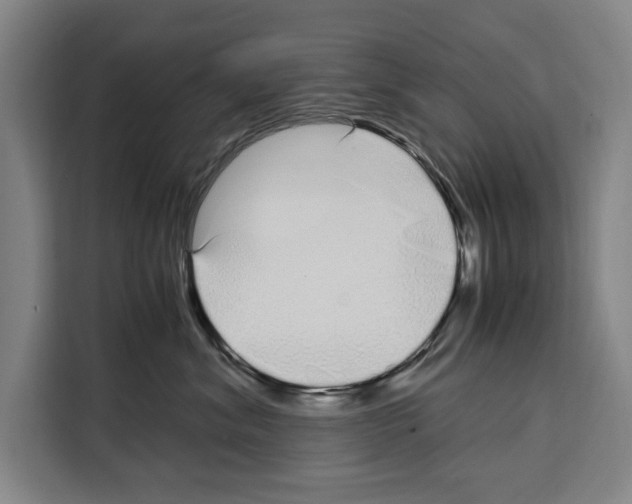 X0000108480620200905151224