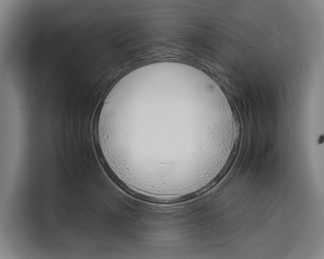 X0000108480622200905151224