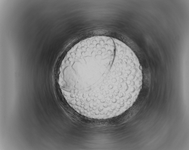 X0000108480626200905151223