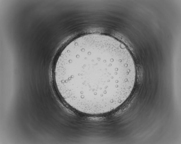 X0000108480629200905151223