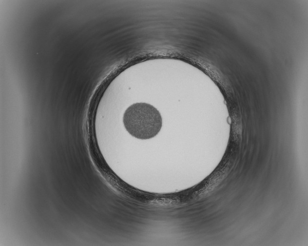 X0000108480630200905151223