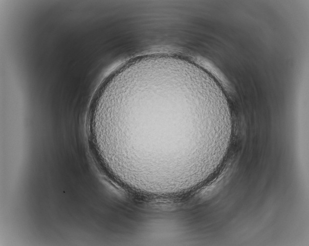 X0000108480632200905151223