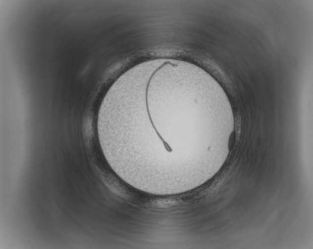 X0000108480636200905151223