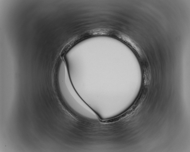 X0000108480637200905151223