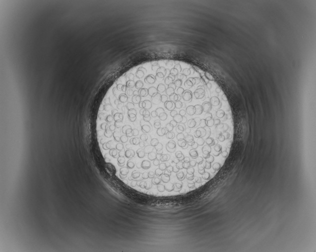 X0000108480638200905151223