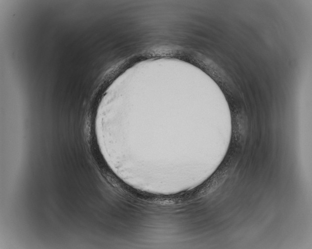 X0000108480640200905151224