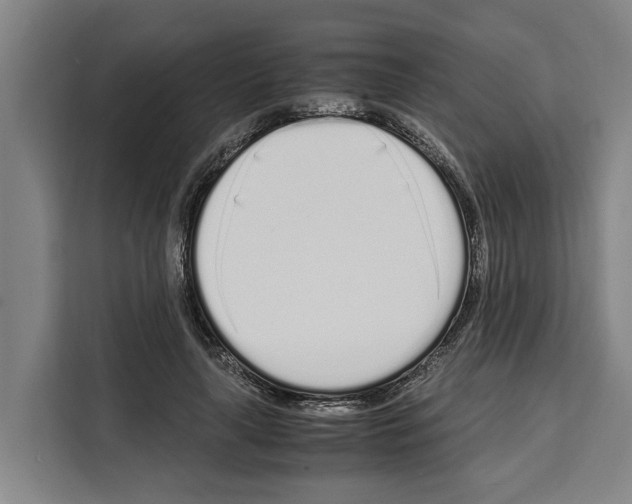 X0000108480643200905151224